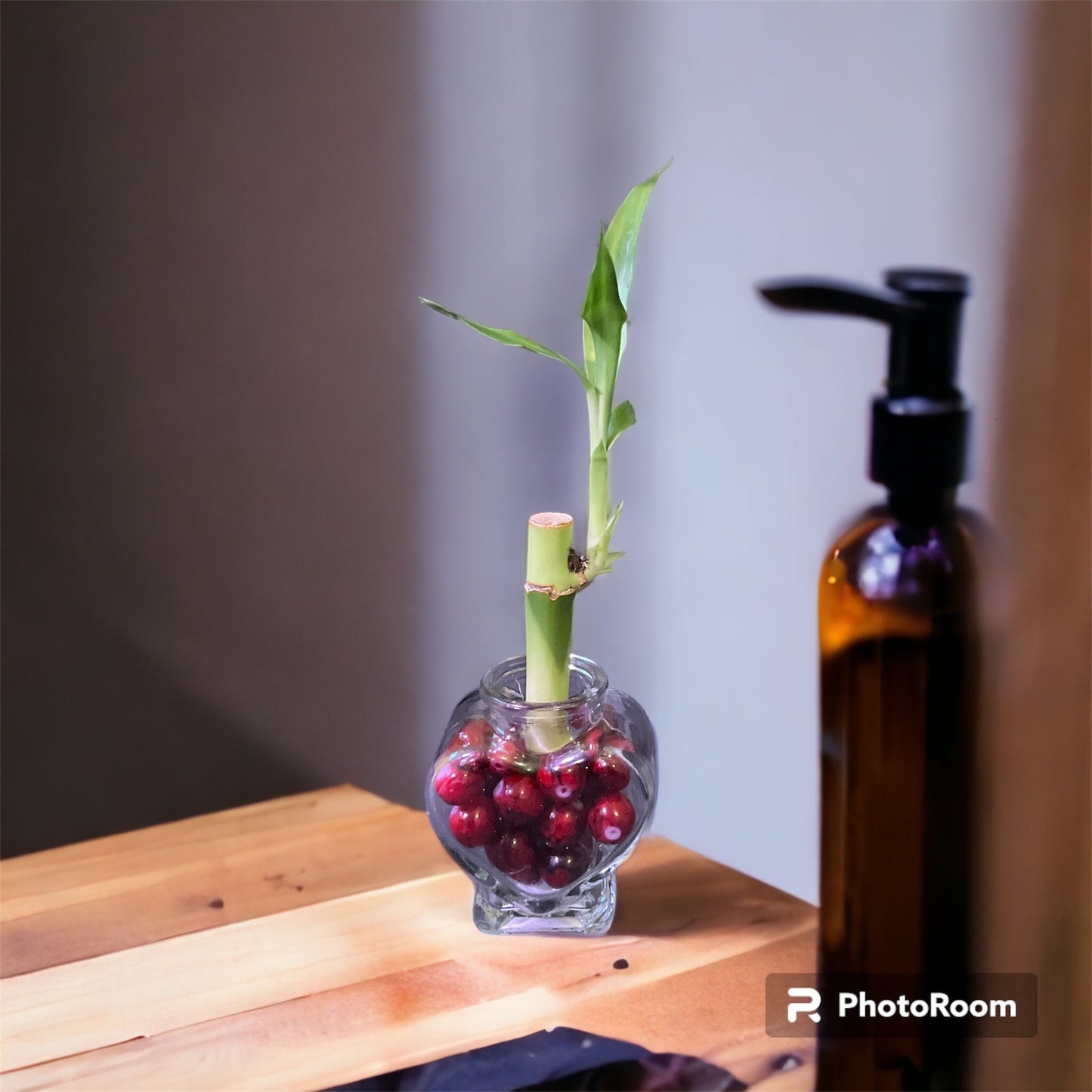 Lucky Bamboo Plant: Heart Vase, Color Therapy Feng Shui Gift