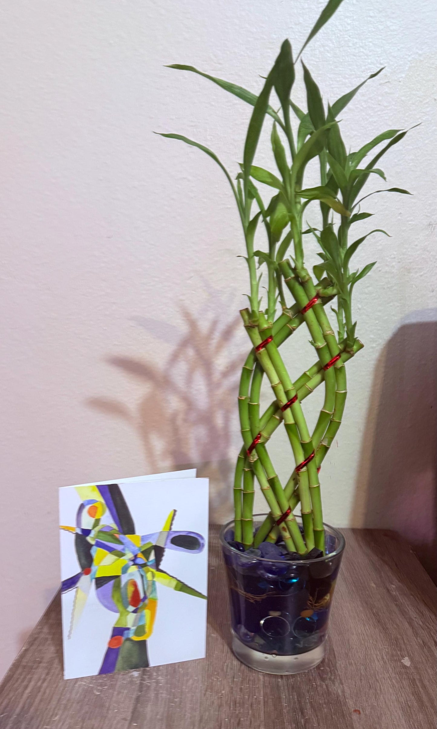Lucky Bamboo Plant Bouquet: Lattice Vase Arrangement - Easy Care Gift