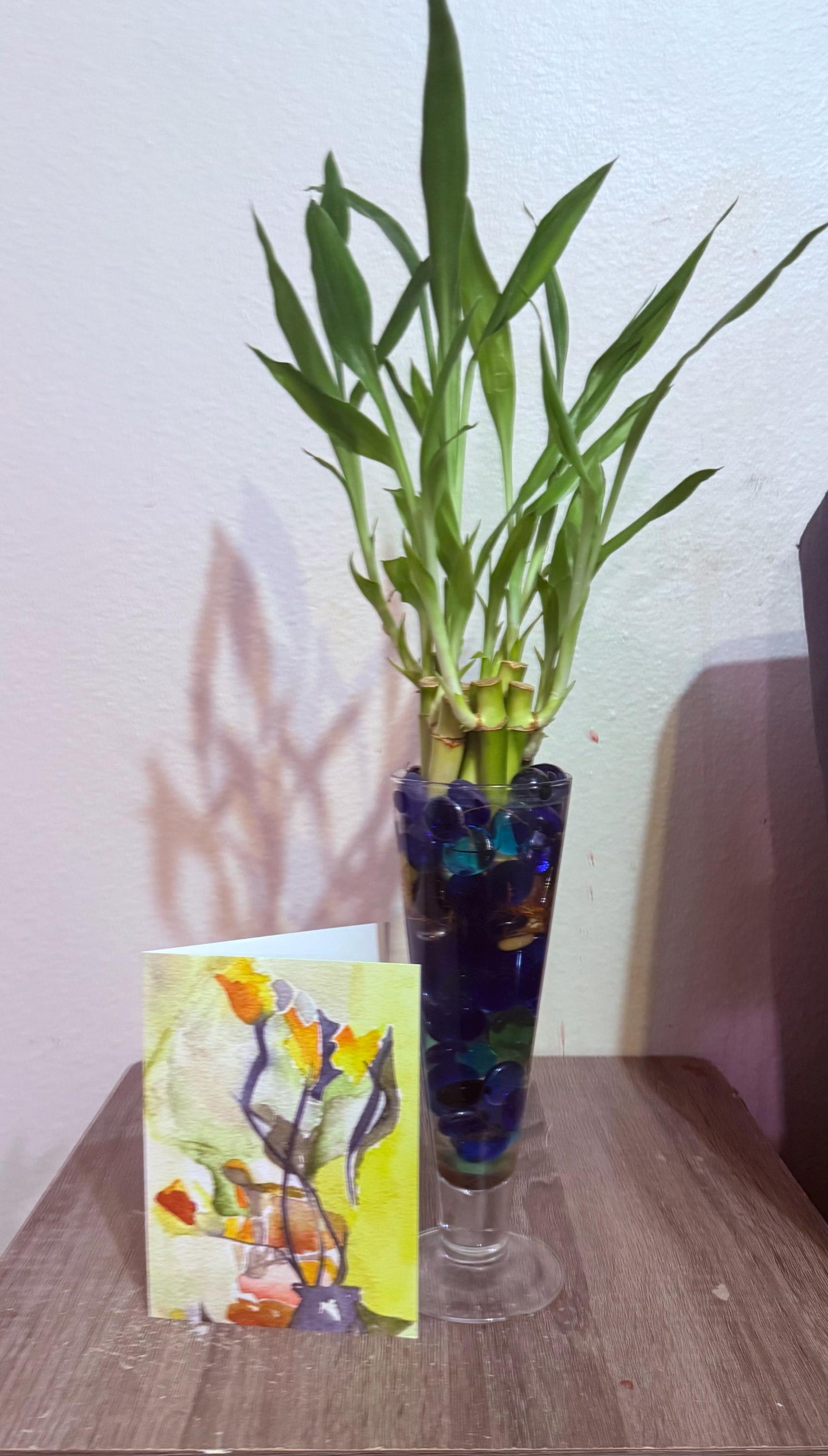 Lucky Bamboo Bouquet: 10 Stalks in Glass Vase - Easy Care Gift