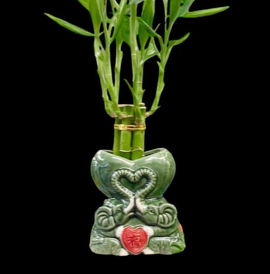 Lucky Bamboo Plants with ceramic elephants Planter Vase Green Brown Asian Decor